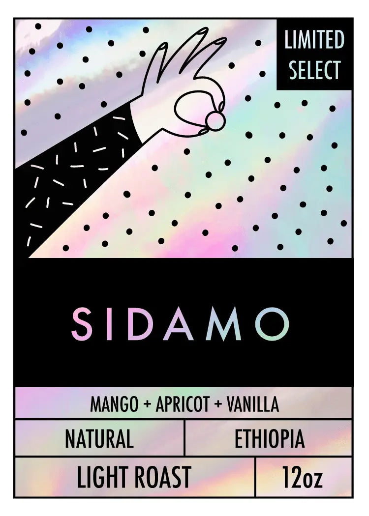 SIDAMO - bibo coffee co. / bibo freddo gelato