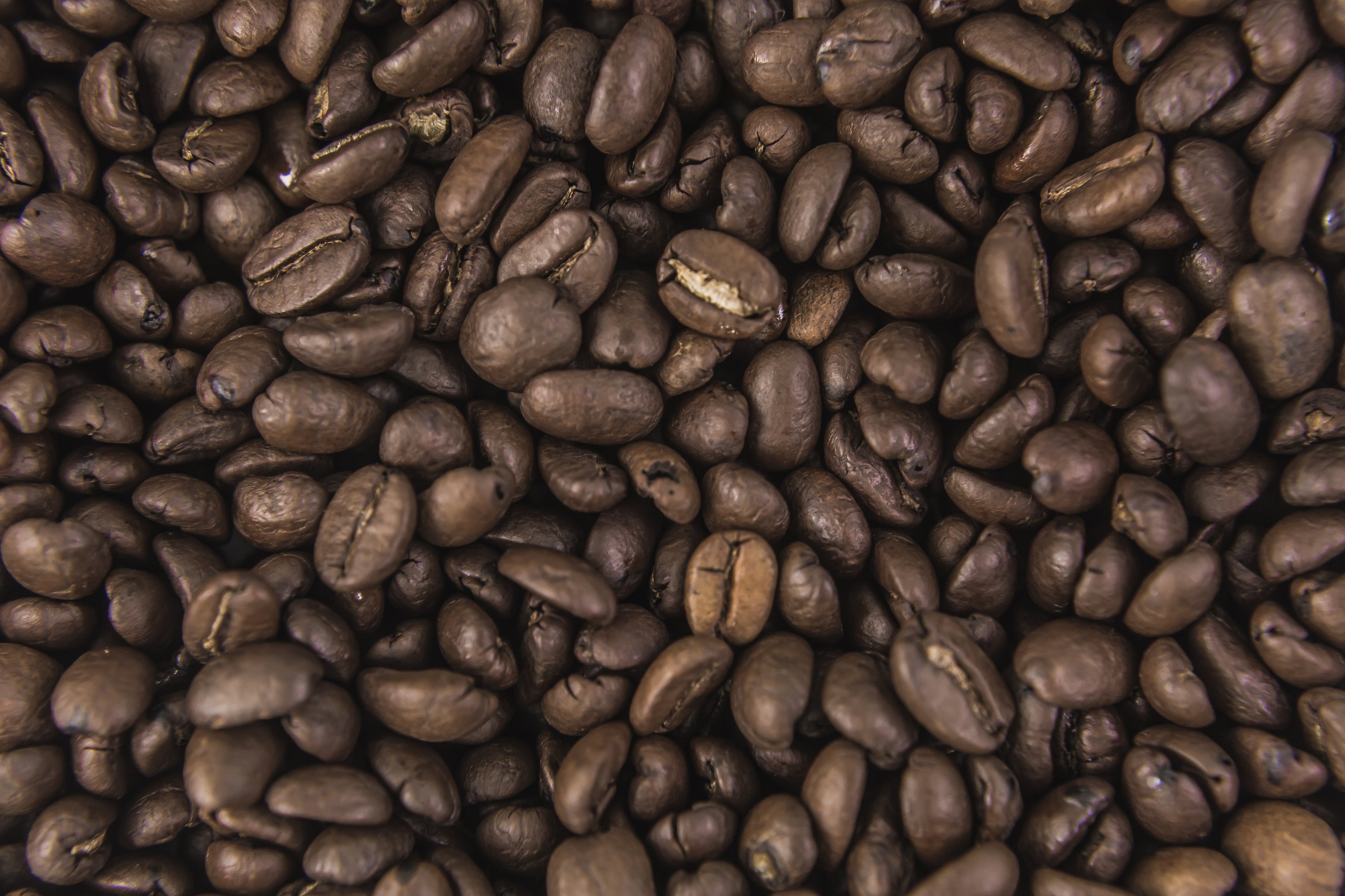 photo of roasted coffee beans from above